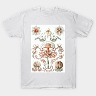 Jellyfish T-Shirt